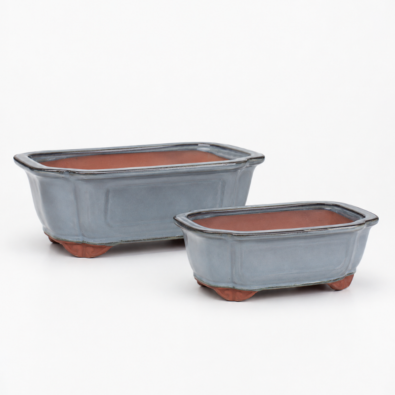 101